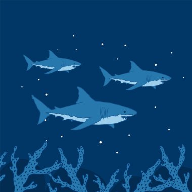 Büyük Beyaz Köpekbalığı Vektörünün El Çizimi