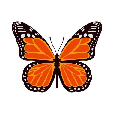 El çizimi Kelebek illüstrasyon vektörü