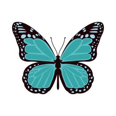 El çizimi Kelebek illüstrasyon vektörü