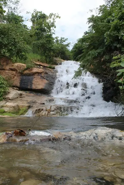 Çağlayarak akan bir şelale, yemyeşil ağaçlarla çevrili kayalık bir yamaçtan aşağı akar. Su berrak ve ışıl ışıl, huzurlu bir atmosfer yaratıyor. Dipte, su sakin ve sığ bir dereye dönüşür..