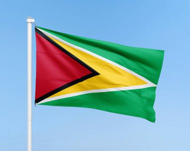 Arka planda Guyana bayrağı var. Gerçekçi bayrak çizimi