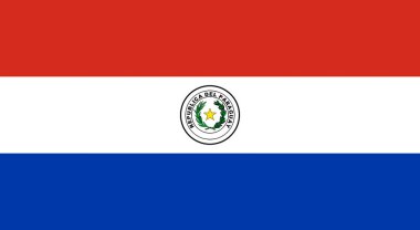 Paraguay ulusal bayrağı. Gerçekçi bayrak çizimi