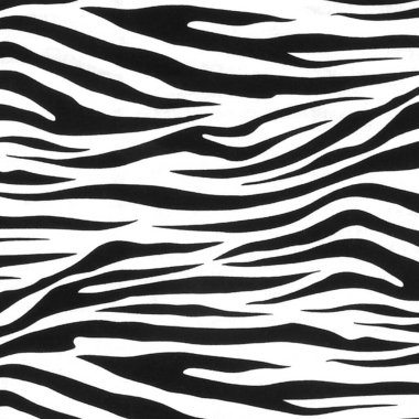 Tekstil ve Duvar Kağıdı Tasarımı için Siyah ve Beyaz Zebra Yazdırma Modeli 