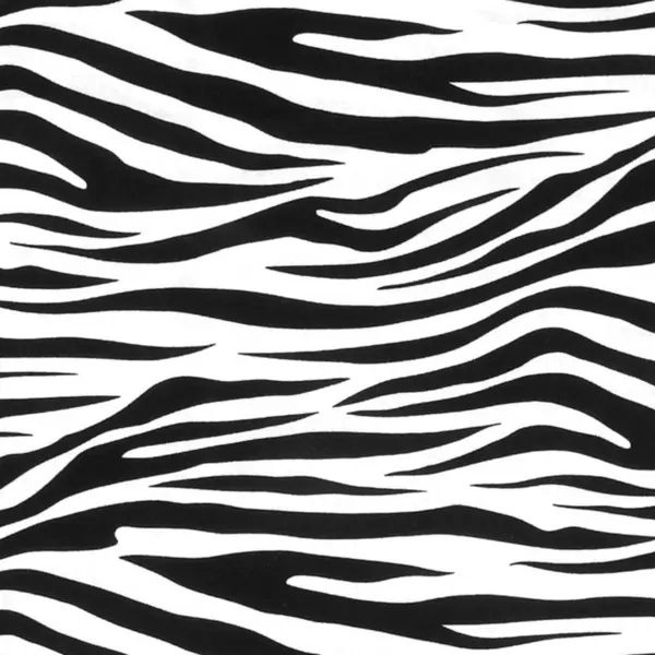 Tekstil ve Duvar Kağıdı Tasarımı için Siyah ve Beyaz Zebra Yazdırma Modeli 