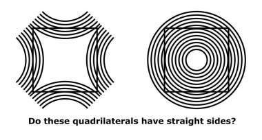 Optik ilüzyon vektör illüstrasyonu. Bulmaca. Zeka küpü. Siyah ve beyaz