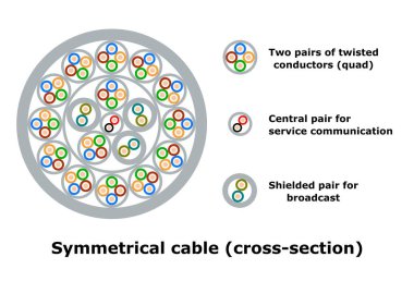 Simetrik kablo (kesit), vektör illüstrasyonu