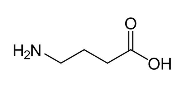 Gamma-Aminobütirik Asit (GABA) Moleküler Yapı Kimyasal Sunumu