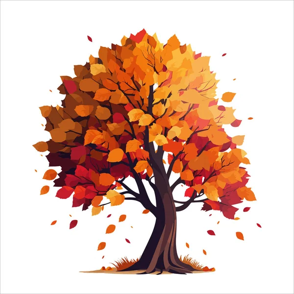 Vector Illustratie Van Herfstbomen Bomen Met Bladeren Oranje Tinten Met — Stockvector