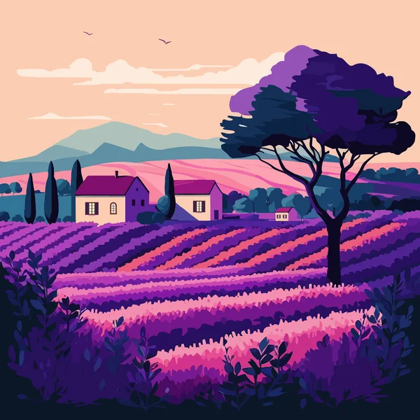 Warna Indah Ungu Lavender Bidang Provence Perancis Ilustrasi Vektor - Stok Vektor