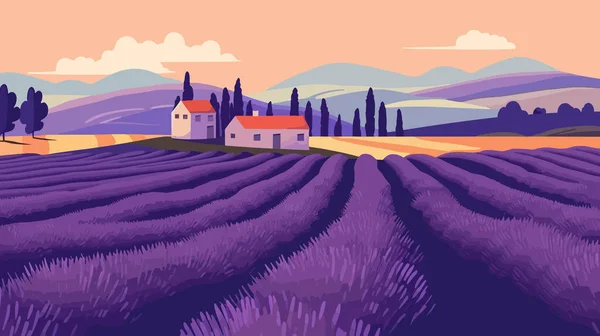 法国普罗旺斯美丽的紫色薰衣草场 矢量说明 — 图库矢量图片