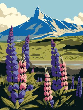 Lupine çiçekleri ve dağlar. Düz biçimli vektör illüstrasyonu.