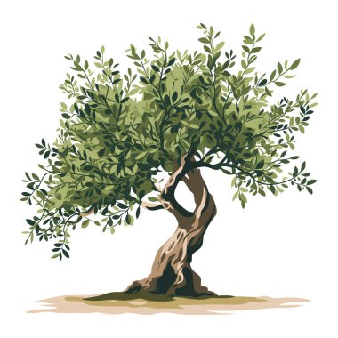 Beyaz arka planda izole edilmiş zeytin ağacı çizimi. El yapımı zeytin ağacı simgesi.