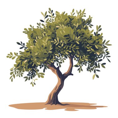 Beyaz arka planda izole edilmiş zeytin ağacı çizimi. El yapımı zeytin ağacı simgesi.