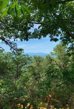 Dağlı güzel bir manzara.