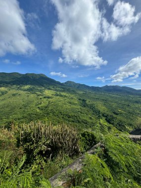 Dağlarda güzel bir yeşil ağaç görüntüsü.