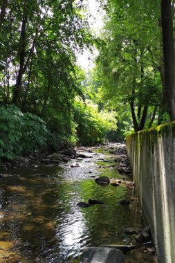 Ormanda nehir, Polonya 'da banliyöler