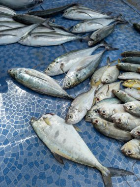 Taze çiğ balık, geleneksel ıslak pazarlarda taze ve çeşitli deniz ürünlerini korumak için buzun üzerinde güzelce düzenlenir ve sergilenir.
