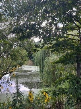 Ağlayan söğütlerle huzurlu göl manzarası