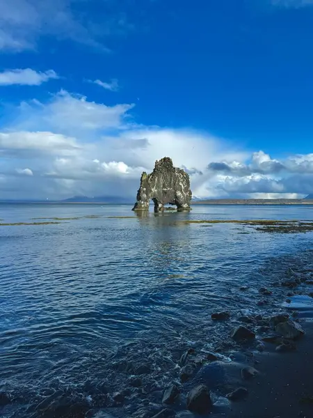 Denizdeki Hvitserkur kaya oluşumu, İzlanda. 