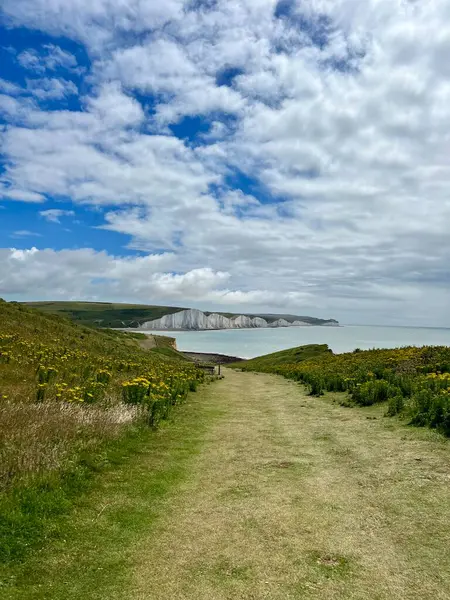 stock image Seven Sisters chalk cliffs, South Downs, UK. 