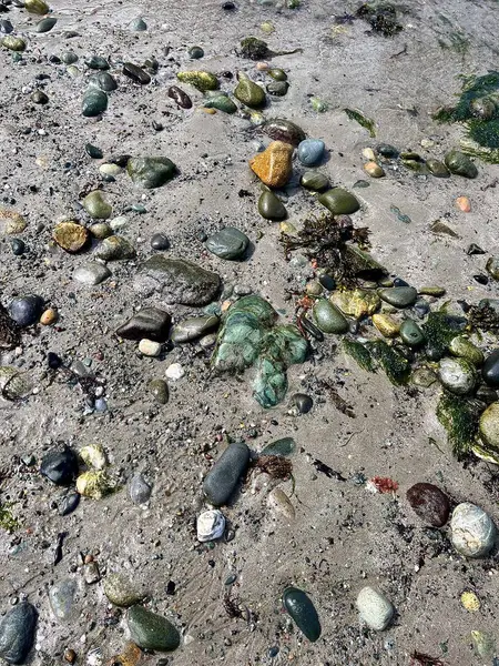 Galler sahilinde çeşitli güzel taşlar.