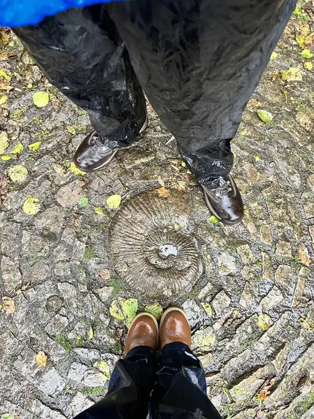 Yağmurlu bir günde büyük fosillerle ıslak zemin etrafında insanlar ayaklarıyla 