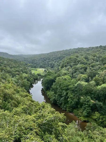 İngiltere, Galler 'de bir gölü olan Woodland..