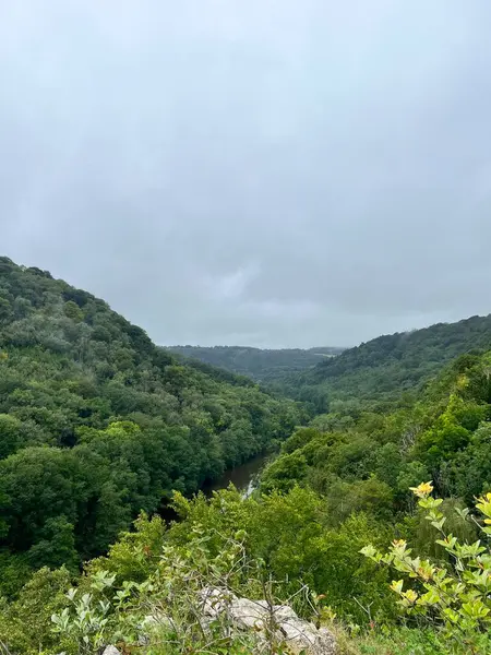 Bir gölü olan Woodland, Galler, İngiltere.