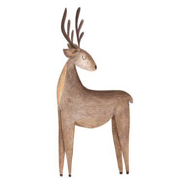 Suluboya geyiği. Kartlar, posterler, duvar kağıtları, çıkartmalar için tasarım..