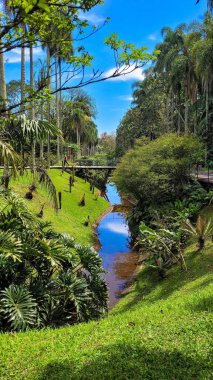 Bir parkta, doğanın ortasında mavi gökyüzü olan bir su yolu görürüz..