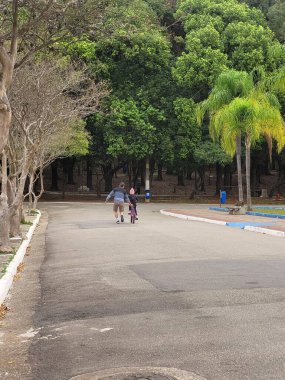 Kafası binanın penceresinde dinlenen uzun bir burnu olan siyah bir köpek; boş bir gözle bakan balkon, yağmurlu bir günde şehirde bir görünüm.