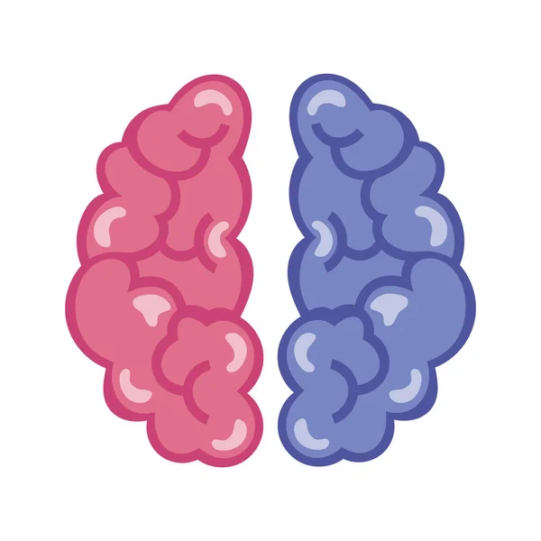 Ανθρώπινος Εγκέφαλος Απομονώνεται Λευκό Φόντο Δημιουργικός Εγκέφαλος Λογότυπο Εγκεφάλου Απόθεμα — Διανυσματικό Αρχείο