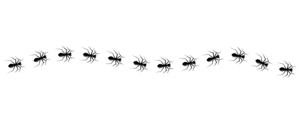 Worker Ants Trail Line Isolated White Background Top View Ants — 图库矢量图片
