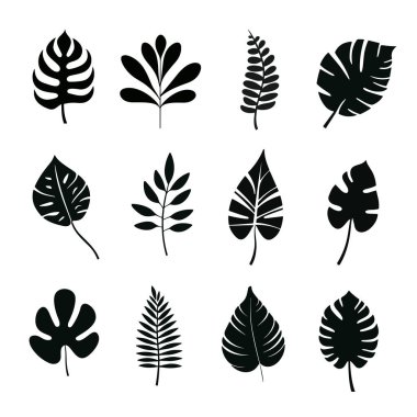 Bir dizi tropik yaprak silueti. Palmiye yaprakları beyaz arka planda izole edilmiş. Vektör deposu