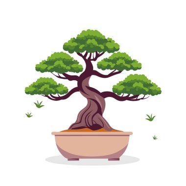 Japon bonsai ağacı beyaz arka planda izole edilmiş. Bonsai ağacı süslemesi. Doğa konsepti. Vektör deposu