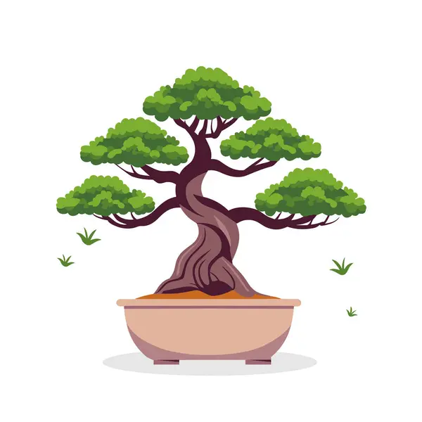 Bonsai Japonês Isolado Fundo Branco Bonsai Árvore Decorativa Conceito Natureza — Vetor de Stock