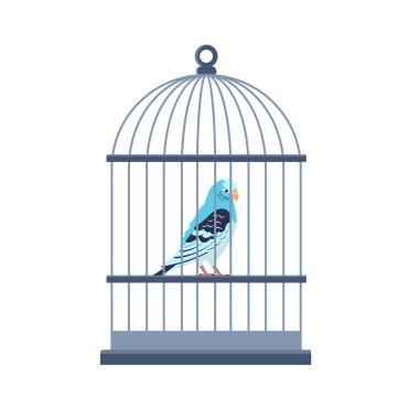 Beyaz arka planda izole edilmiş kafesteki muhabbet kuşu. Vektör deposu