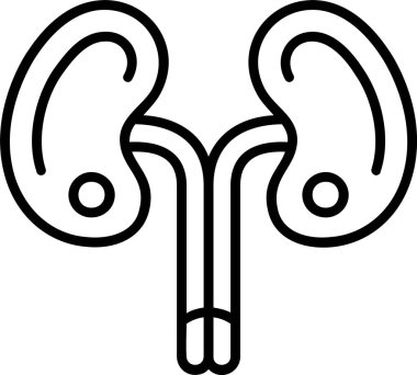 böbrekler web simgesi vektör çizimi