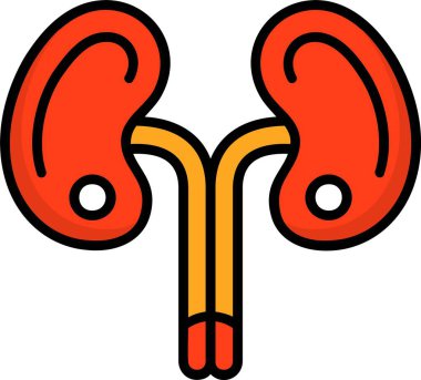 böbrekler web simgesi vektör çizimi