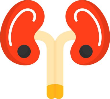 böbrekler web simgesi vektör çizimi