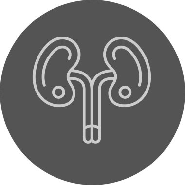 böbrekler web simgesi vektör çizimi
