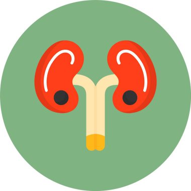 Böbrekler web simgesi, basit vektör çizimi