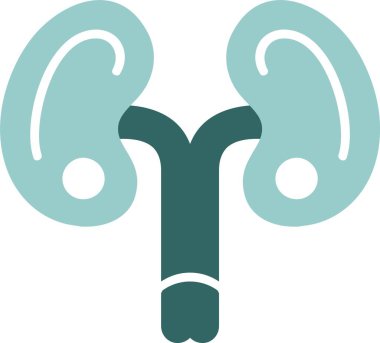 Böbrekler web simgesi, basit vektör çizimi