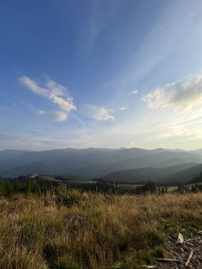 Dağ gölü ve bulutlu gökyüzünün altındaki ağaçlar