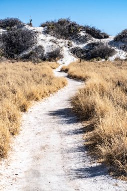 Güneşli bir günde Beyaz Kumlar Ulusal Parkı 'ndaki sarı çimlerin arasındaki kum tepelerine giden yol.