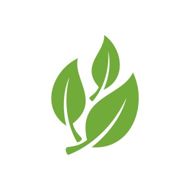 Doğal Yeşil Yaprak Simgesi Vektör Şablonu