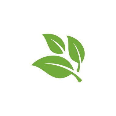 Doğal Yeşil Yaprak Simgesi Vektör Şablonu