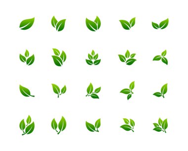 Doğal Yeşil Yaprak Simgesi Vektör Şablonu