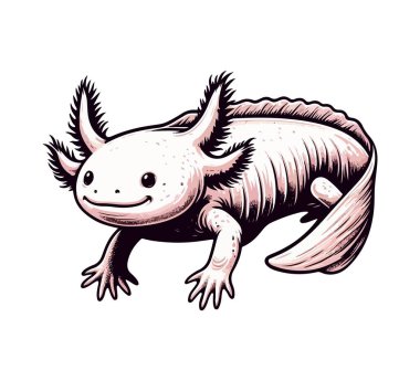 Axolotl el çizimi vektör çizimi