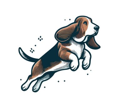 Basset av köpeği el çizimi vektör çizimi